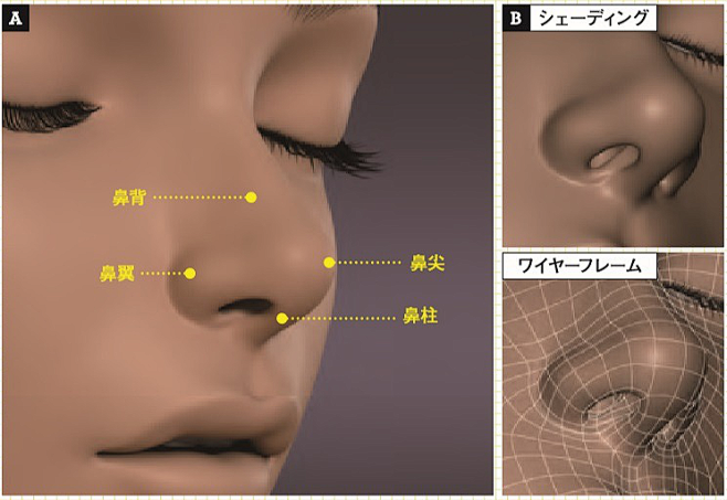 人物角色的面部造型(下)_3DMAX教程...