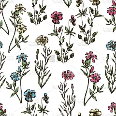 野花,背景,自然,季节,图像,花朵,壁纸,植物群,花蕾,茎