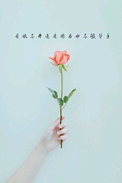 咖啡真苦采集到淘宝设计