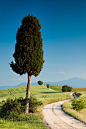 Pienza, Italy