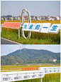 农文旅‖稻田的艺术分享