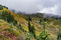 为你扮迷糊。