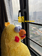 微博搜索