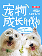 宠物成长计划|寻找下个宠物顶流 - 小红书