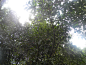 DSCN9266