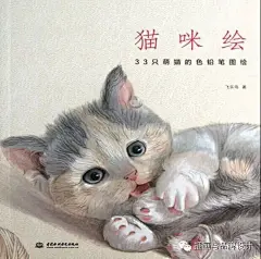 每日干货下载：彩铅技法大全，一次性学会，19本共35元！彩铅书汇总，每本170页，1.2G清晰PDF-插画与品牌设计-微头条(wtoutiao.com)