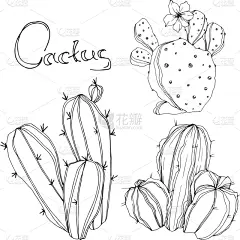 仙人掌,植物学,黑色,铅笔,壁纸,植物群,春天,花,剪影