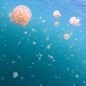 【有生之年系列】世界七大海底奇观之首——帕劳水母湖，超级少女心有没有！！少有的无毒水母之一哦~看起来像桃子味儿的。 O秒拍视频