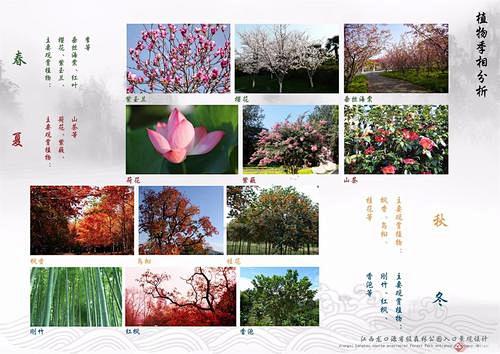 植物季相分析图的搜索结果_百度图片搜索