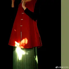ੈ✩‧₊˚大橘大绿，今晚吃鸡！

这件比甲原本是给秋天准备的，扣子也是准备的松鼠磁扣，没想到拖着拖着都快立春了，那就搭配一条春天的绿裙子吧

ps.扣子是外婆缝的，笨手笨脚我本人在旁边看着就觉得很厉害磁扣的好处就是会自己扣上，很nice ​​​​