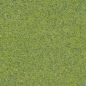 Textures Texture seamless | Green grass texture seamless 12977 | Textures - NATURE ELEMENTS - VEGETATION - Green grass | Sketchuptexture