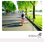 西湖畔阳光正好