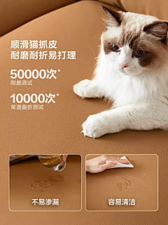 罗迪克采集到家具素材