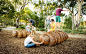 阿德莱德动物园自然游乐场 Adelaide Zoo Nature’s Playground by WAX Design – mooool