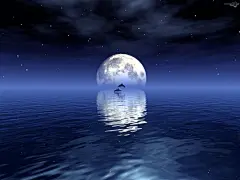 蓝月亮...