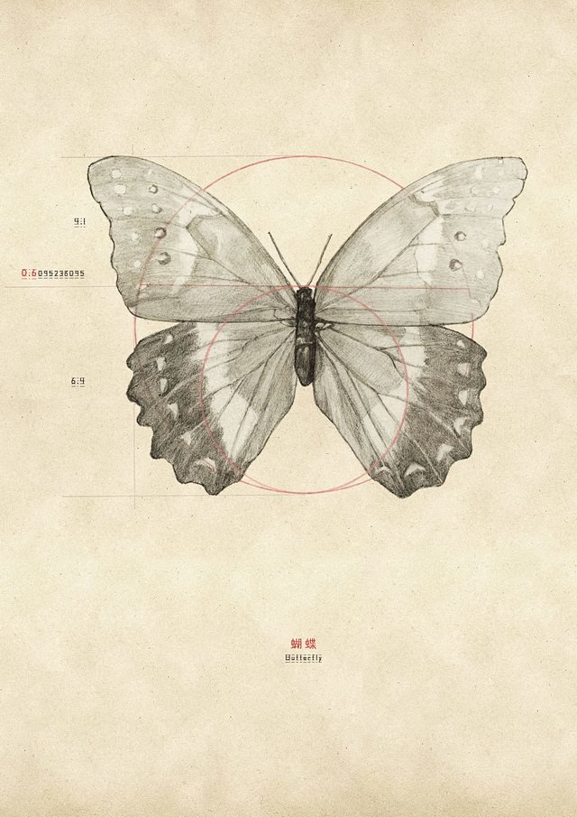 sai资源库黄金分割0618形式美法则自然法则对画画帮助很大值得借鉴转