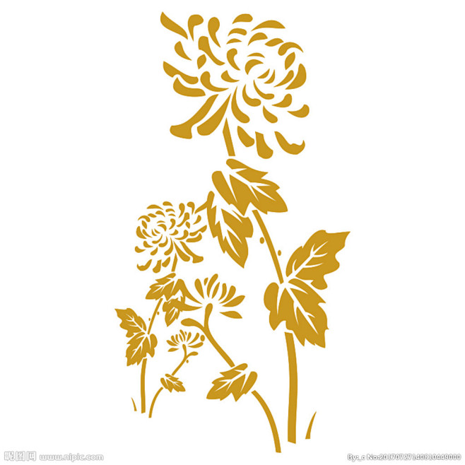 菊花矢量图