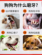 狗狗零食麦富迪磨牙棒清口香洁齿耐咬咬胶比熊泰迪幼犬宠物除口臭