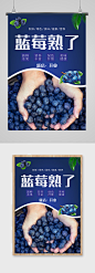 大气蓝莓熟了海报
