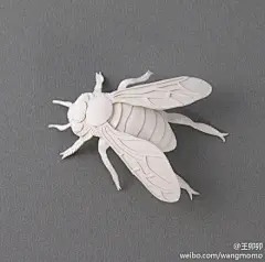多媒体艺术家Elsa Mora ，生于古巴居住美国，喜欢用纸张创作浮雕效果的插画。