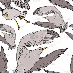 在野生动物中向天鸟海鸥矢量。黑白雕刻水墨艺术。无缝背景模式.