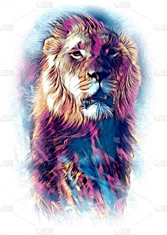 花瓣素材-插画素材采集到其他插画-图片