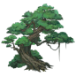 garden_treeplane02