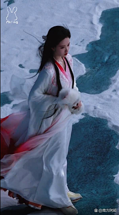 浣熊不背出师表采集到女生