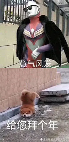 奥特曼沙雕表情包的搜索结果_360图片