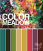 color palette.: 