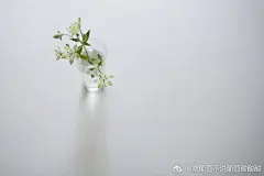 她成熟了懂事了不胡闹了但是也不爱笑了#美图##头像女生##壁纸##头像##头像壁纸库# ​​​