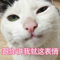 表情包