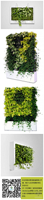 来自于瑞典的绿植家具公司Greenworks在室内植物方面的努力可谓独树一帜，迄今为止，他们已经研发了包括绿植墙、可移动绿植墙 、空中花园吊灯和壁挂相框式绿植在内的一系列产品。http://t.cn/zH5RFAz分享图片#