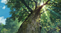 General 1600x866 nature sunlight trees sun rays worm's eye view Studio Ghibli Karigurashi no Arrietty green low-angle