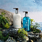 Coastal Cypress & Sea Fennel Hand Lotion : Shop Molton Brown Coastal Cypress & Sea Fennel Hand Lotion at Bluemercury. Find out about free shipping and become a BlueRewards member. Enjoy free samples with every purchase at bluemercury.com.