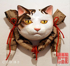 才有新旺采集到萌猫