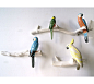 欧式田园创意家居客厅软装饰品挂件立体鹦鹉壁挂墙饰壁饰陶瓷鹦鹉-淘宝网