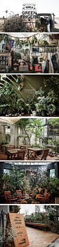 川本諭＿室内设师、展示设计师、同时经营着多家家具、杂货和植物店。#川本諭##GREEN FINGERS##植物与设计# ​​​​