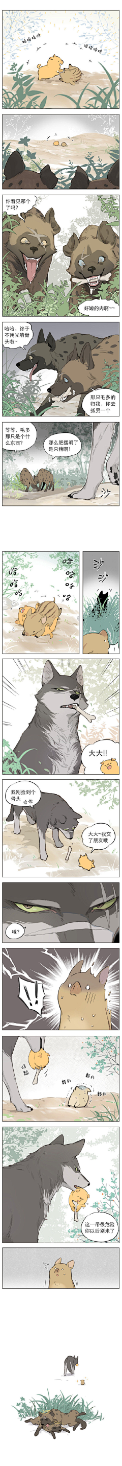 魚青洛采集到捡了东西的狼-麻尾