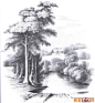 国外关于树的素描风景图片,各种各样素描树的写生作品23P(6)_素描风景画_素描_我爱画画网