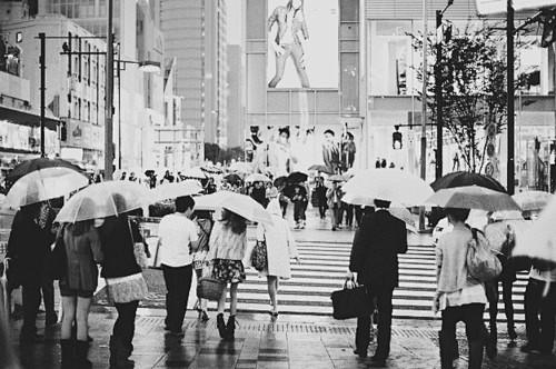 下雨天，谁为你打伞。 | 唯美意境网