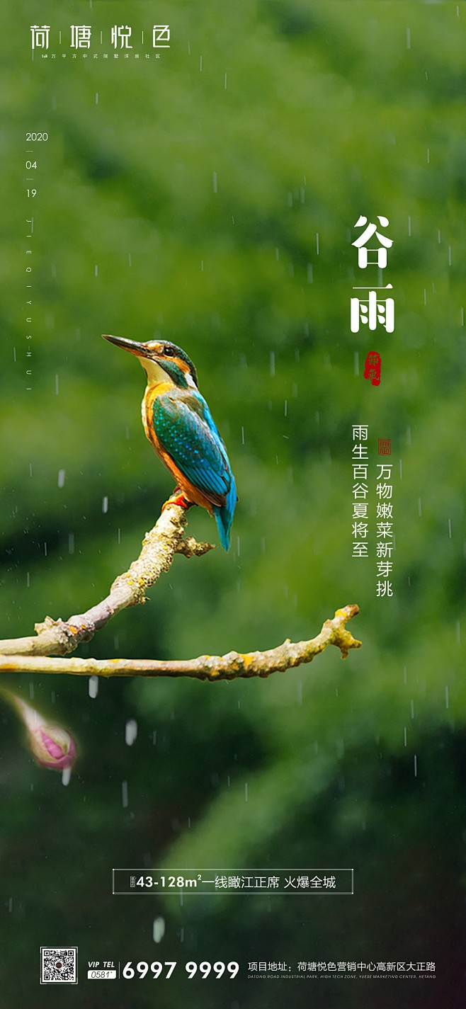 谷雨节气海报