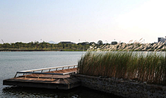 Elena_Chan采集到公园景观案例