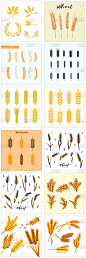 麦穗麦子图标手绘元素粮食水稻子小麦麦田插画ai矢量平面设计素材