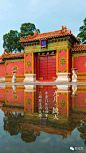 108张图看尽紫禁城的春夏秋冬 : 本文来自：微故宫（ID：weigugong），版权归其所有。 　　办公室门前有棵杏树，每逢三月便满树花开，之后硕果累累，最后落叶归根。 如此岁月往复，让我们萌生了记录紫禁城 一年中的景色的想法。 如今春去春又归，紫禁