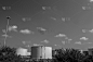 黑白图片,灌木,在之后,不明确的地点,化工厂,石油化工厂,天空,水平画幅,无人,有毒生物体