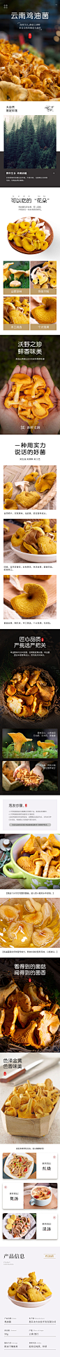 73鸡油菌