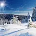 shutterstock_81890467