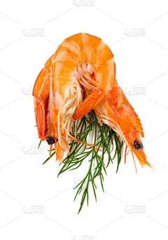 虾,分离着色,白色,中等数量物体,莳萝,明虾,垂直画幅,煮食,无人,开胃品