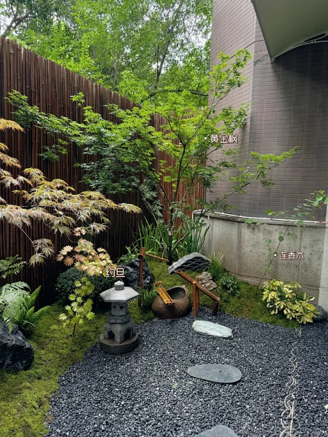 这是你喜欢的日式杂木风植物搭配吗_5_yytplant園小桃_来自小红书网页版-花瓣网